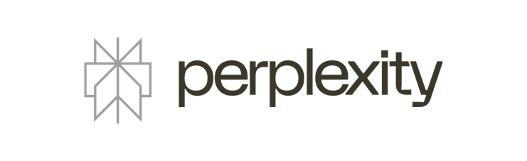 Perplexity LLMO GEO Agentur Chemnitz